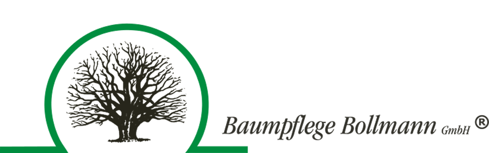 Baumpflege Bollmann